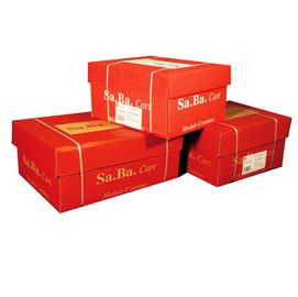 CARTA IN MODULO CONTINUO 24X11'' 60GR (2000FG CARTA RICICLATA Piste Staccabil