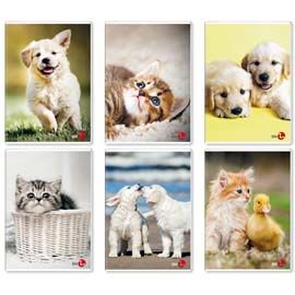 Maxiquaderno A4 40FG+2 80gr 5mm Cute BM