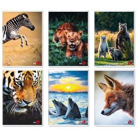 Maxiquaderno A4 40fg+2 80gr 1rigo c/margine Animal BM