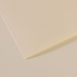 Foglio MI-TEINTES A4 cm 160 gr. 110 giglio