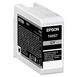 Epson Cartuccia Grigio scuro UltraChrome Pro 10 ink 25ml