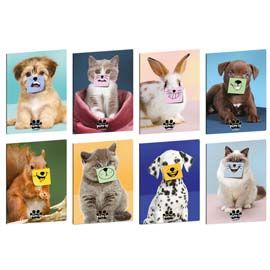 Maxiquaderno A4 20fg+1 80gr 10mm Pets-IT Blasetti