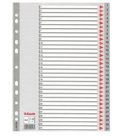 Separatore in PPL grigio numerico 1-31 f.to A4 ESSELTE