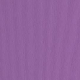 BLISTER 10FG CARTONCINO 70X100 220GR VIOLA 104 FABRIANO ELLE ERRE