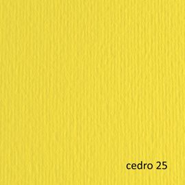 BLISTER 10FG CARTONCINO 70X100 220GR CEDRO 125 FABRIANO ELLE ERRE