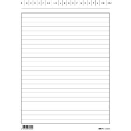 100 SCHEDE RIGATE 21X15CM VERTICALE E3326BL EDIPRO