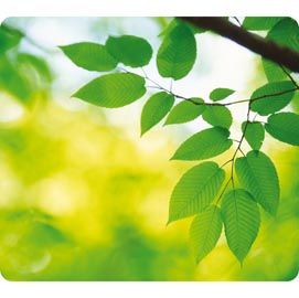 MOUSEPAD FOGLIE ecologici Earth Series Fellowes