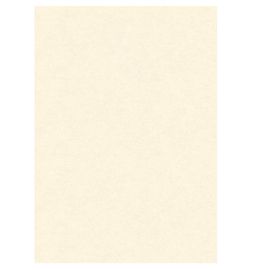 BLISTER 10 DIPLOMI PERGAMENA 210x297mm 160gr neutro avorio KARTOS