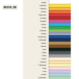 Conf.25 cartoncino Bristol Color 200gr 50x70cm giallo sole 53 Favini