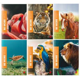 Maxiquaderno A4 36fg+2 100gr 4mm WILD Be More BM