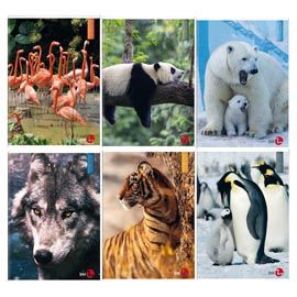 Maxiquaderno A4 40fg+2 80gr 5mm Animal BM