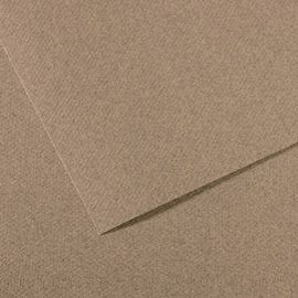 Foglio MI-TEINTES A4 cm 160 gr. 431 grigio screziato