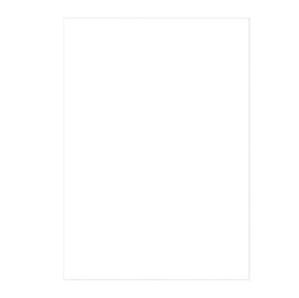 100 Copertine A4 cartoncino groffrato semilpelle 250g bianco Fellowes