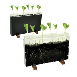 Contenitore Esplora il sottosuolo dim. 30x19x4cm Cwr