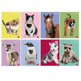 Maxiquaderno A4 80gr 40+2fg 4mm Cuccioli Pigna